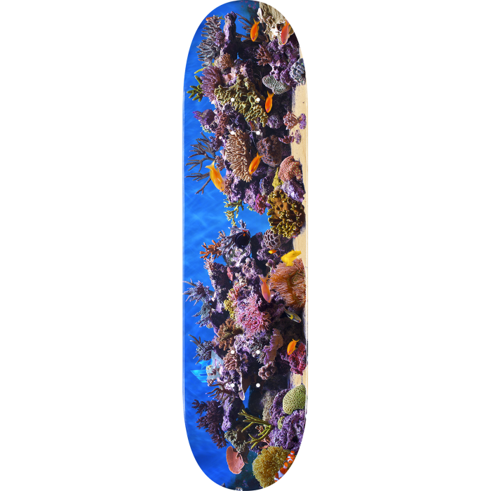 ML Fish Tank - 7.5